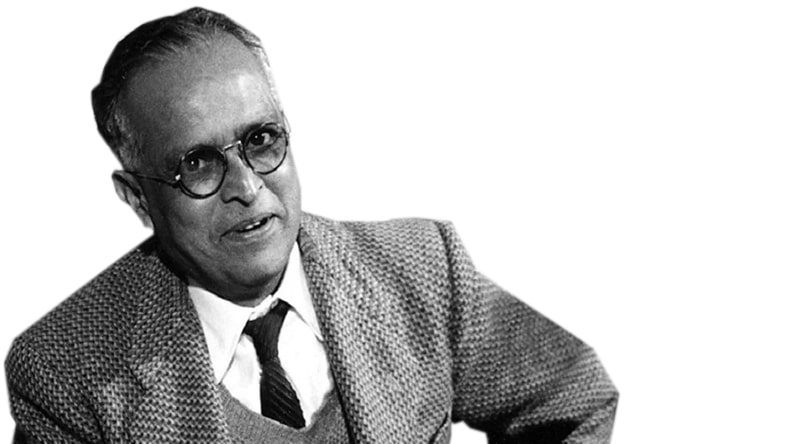 Image result for r k narayan